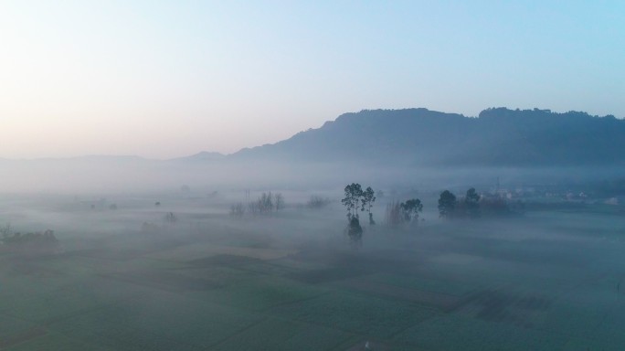 乡村清晨薄雾飘在田野上空航拍风景