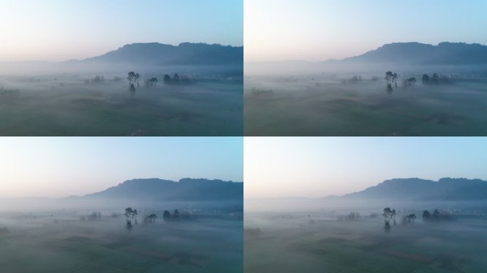 乡村清晨薄雾飘在田野上空航拍风景