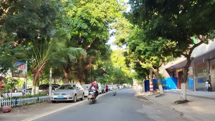 绿树成荫 阳光 大道 树荫阳光洒在路面