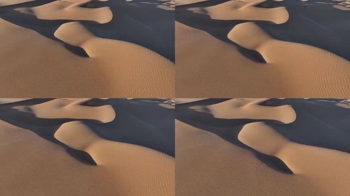 沙漠视频