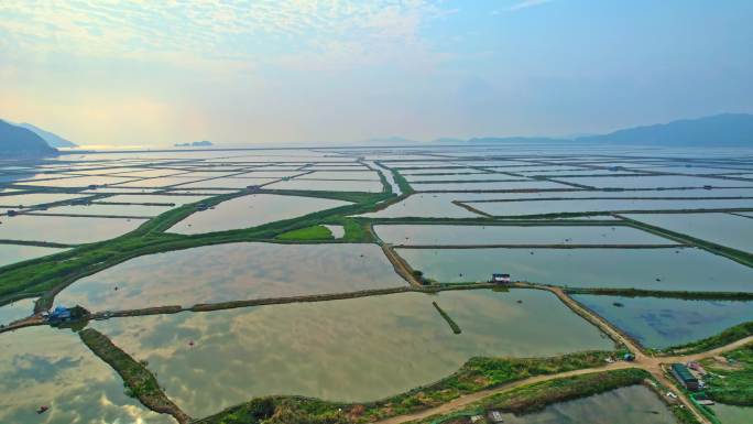 霞浦鱼虾养殖业 水产养殖业