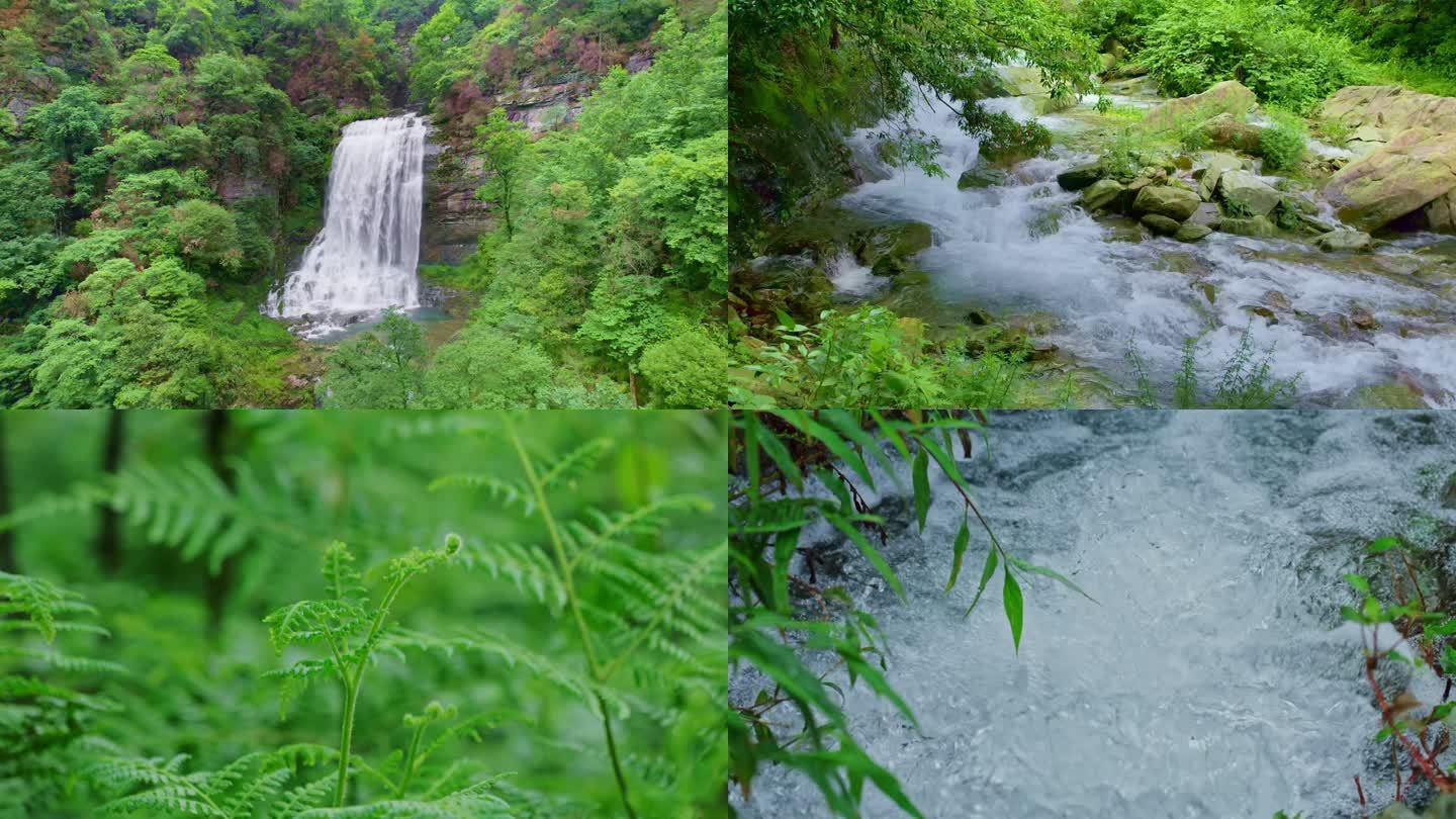 大自然森林流水下雨雨滴瀑布