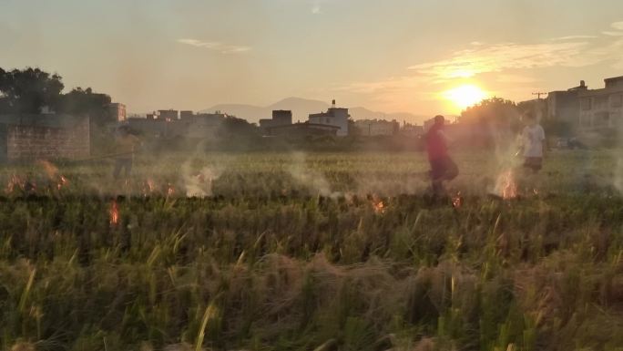 夕阳逆光稻田烧火田间升火农民水田烧稻草