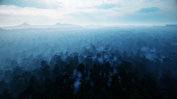 碳中和碳达峰云雾生态树林 森林天然氧吧