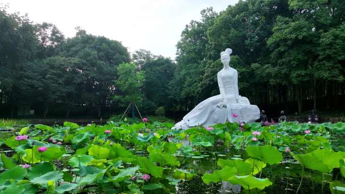 浙江绍兴诸暨西施故里荷花雕塑雕像实拍素材