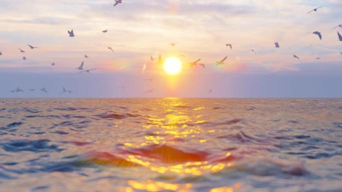清晨海面日出海鸥群飞翔唯美风景