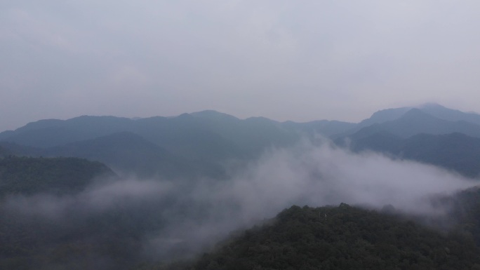 江南烟雨杭州烟雨森林西山公园4K航拍视频