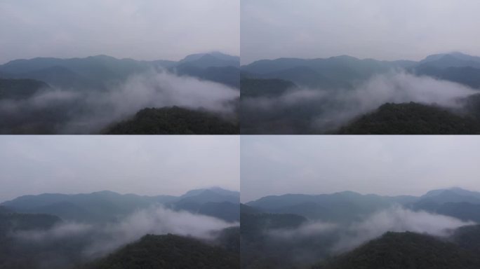 江南烟雨杭州烟雨森林西山公园4K航拍视频