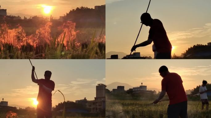 夕阳逆光稻田烧火田间升火农民水田烧稻草