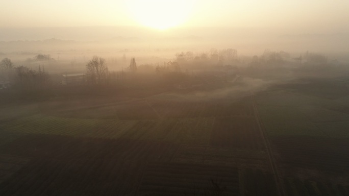 乡村早晨日出薄雾航拍美景