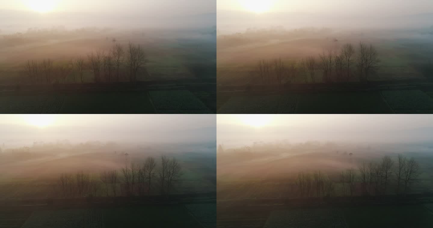 乡村早晨日出一层薄雾飘在村庄上空美丽风景