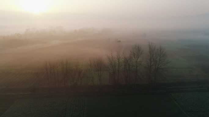 乡村清晨薄雾飘在田野上空航拍风景