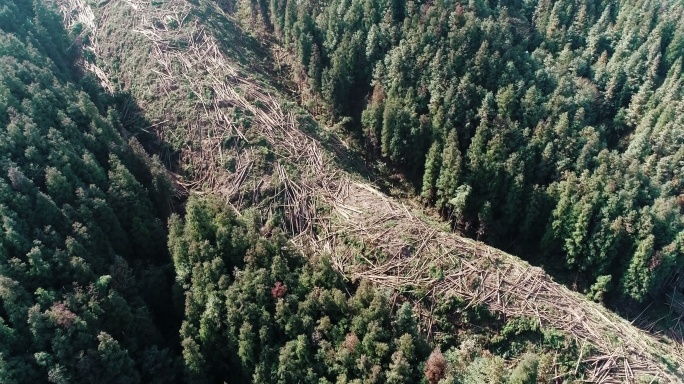 航拍被砍伐的山林环保题材