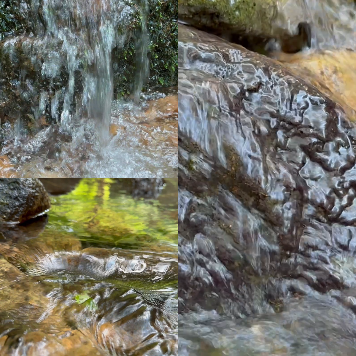 森林自然小溪原始状态自然枯木苔藓多段视频