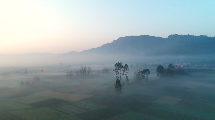 乡村早晨一层薄雾飘在村庄上空美丽风景