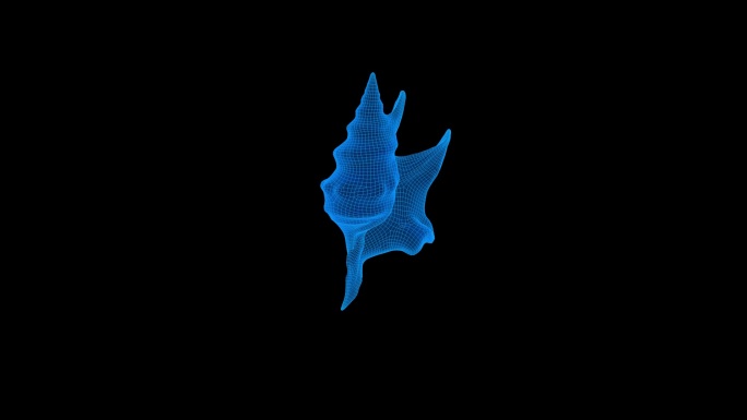 全息素材 海螺 2
