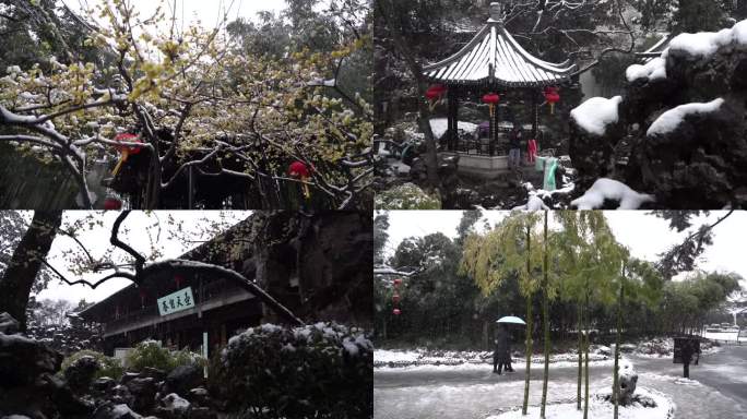 扬州个园雪景