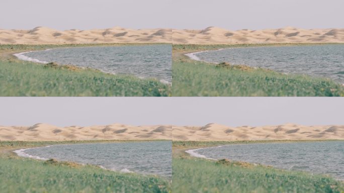 青海湖尕海的湖边沙漠与草地