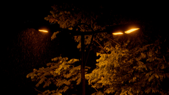 夜晚狂风大雨路灯