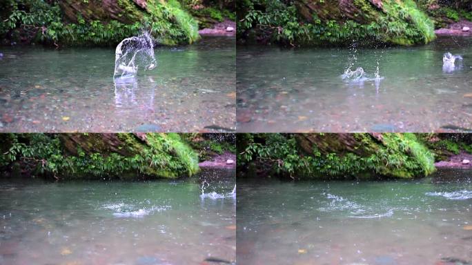 清澈溪流河水打水漂溅起水花自然风景素材