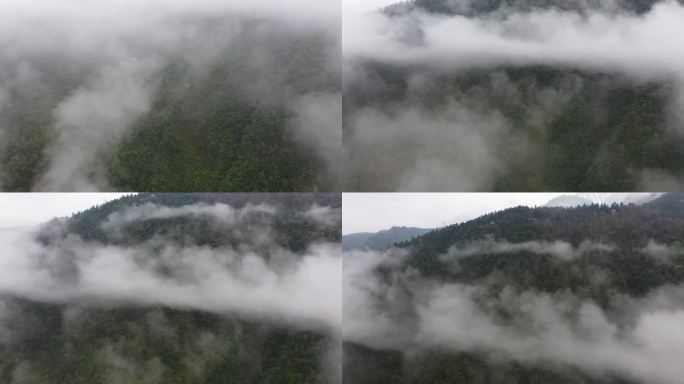 云雾缭绕中怒江沿线山林