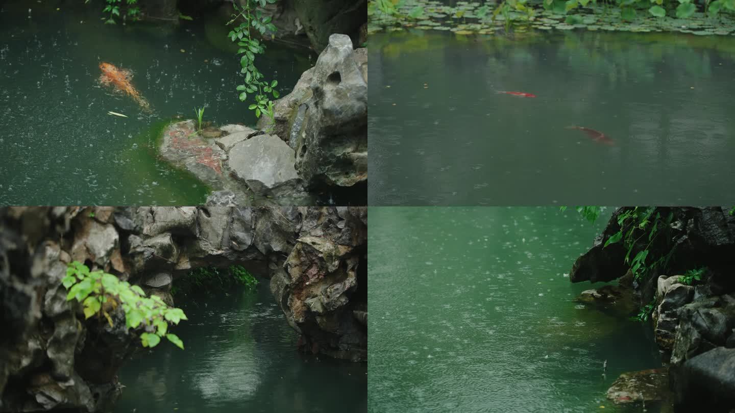 4k实拍江南听雨苏式园林庭院池塘下雨空镜