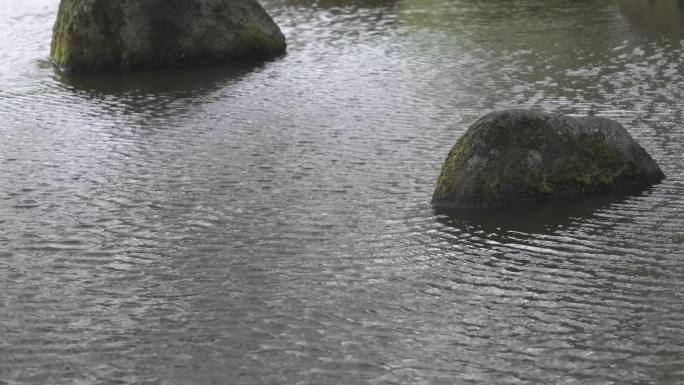 山雨欲来奈良公园空镜头