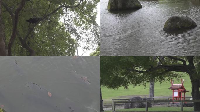 山雨欲来奈良公园空镜头
