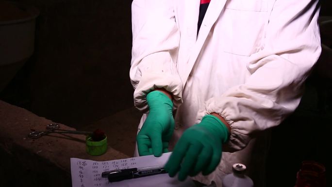 兽医 病猪 消毒 抽血 打针 注射疫苗