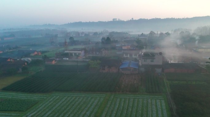 乡村早晨日出薄雾航拍美景