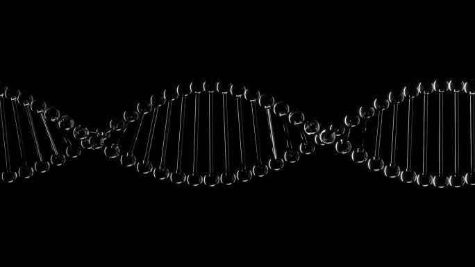 DNA 螺旋结构 （透明通道）