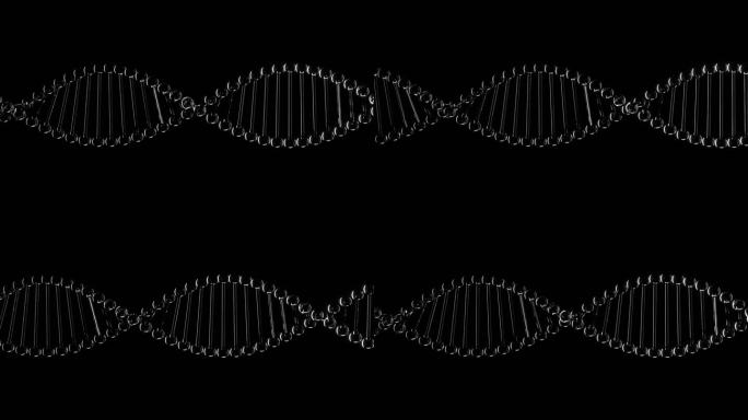 DNA 螺旋结构 （透明通道）