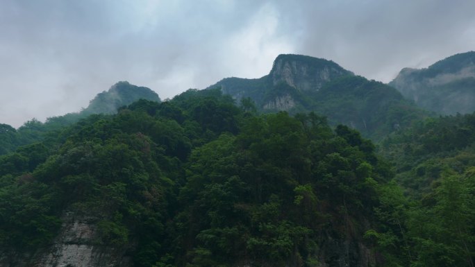 摇头观看大山