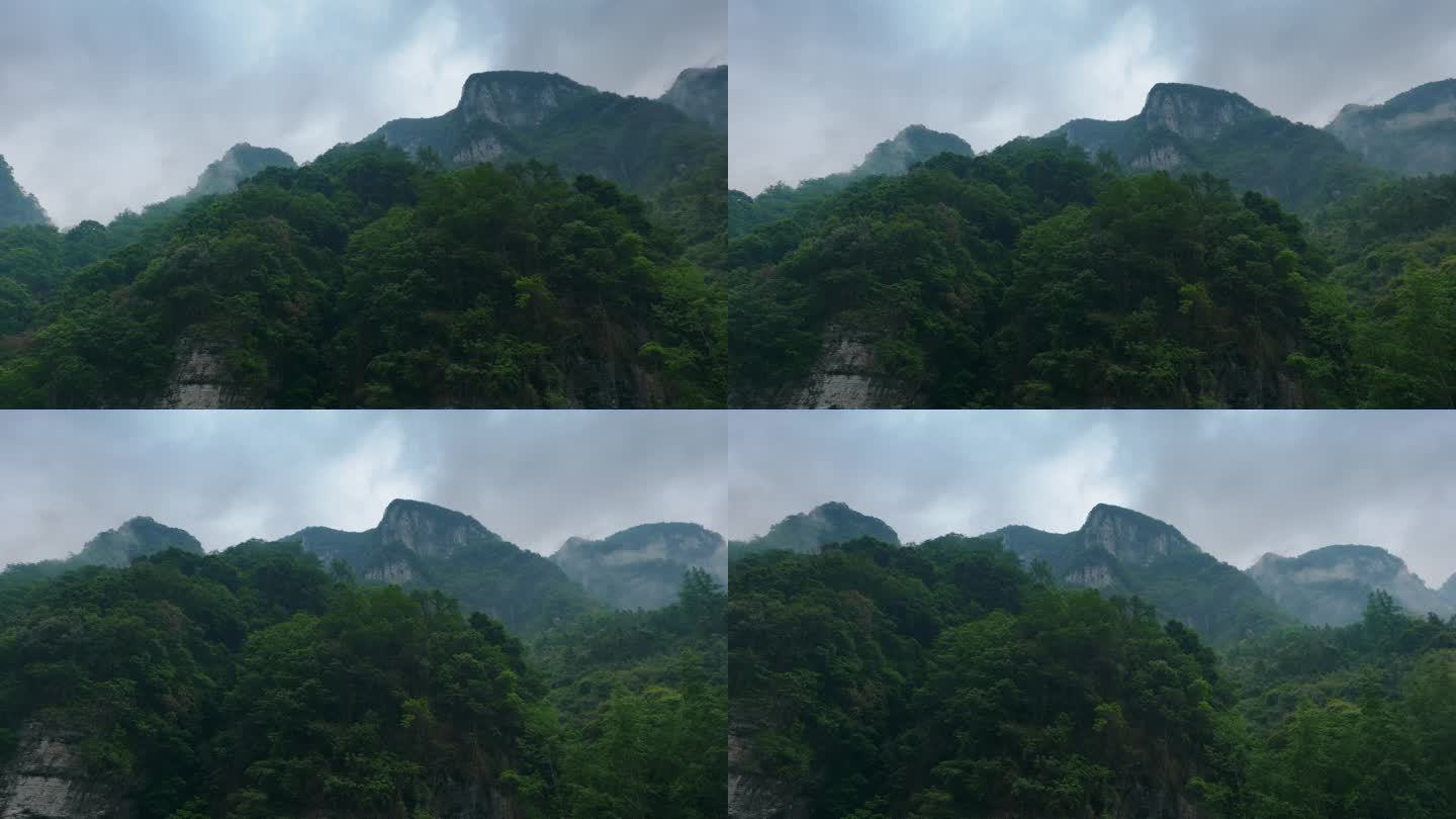 摇头观看大山