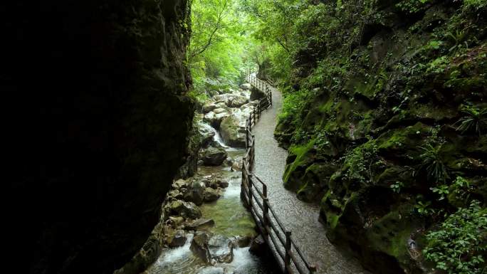 尼珠河大峡谷栈道水流航拍4K