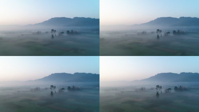 乡村早晨一层薄雾飘在村庄上空美丽风景