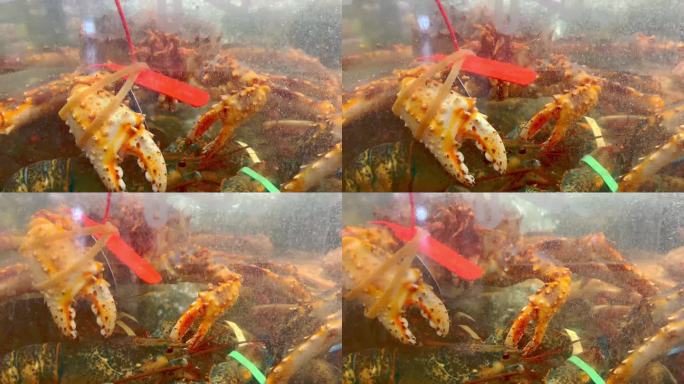 海鲜市场的鲜活帝王蟹 (1)