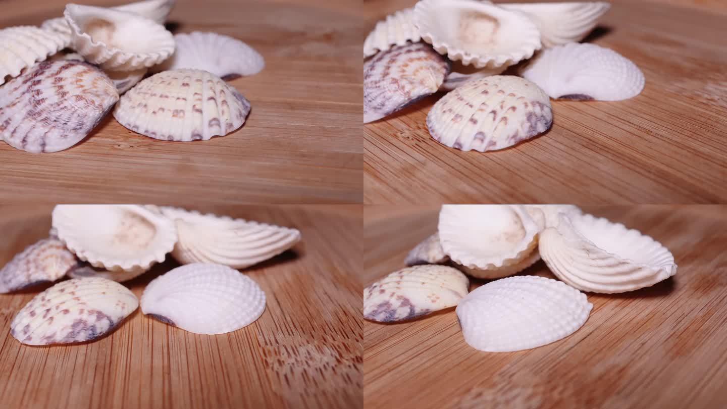 雪蛤蛤蜊文贝贝壳 (2)
