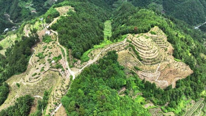 航拍浙江丽水农业旅游乡村梯田田园风光