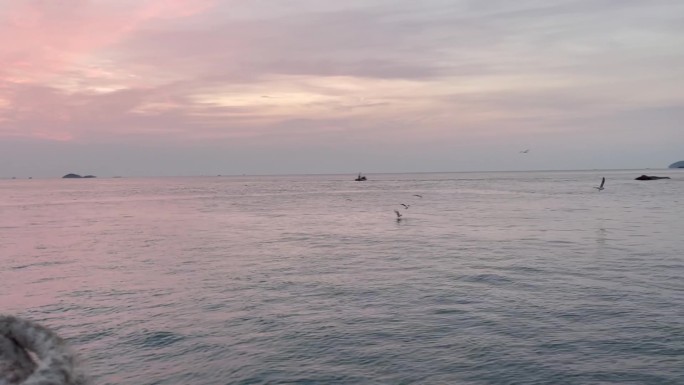 渔船上伴着日落海鸟在捕鱼