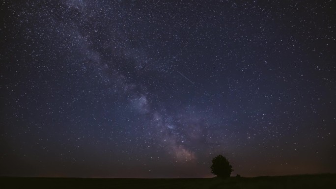 夏天的草地上，夜空中的银河在孤零零的树上。明亮的星辰和流星在风景之上的轨迹。欧洲的观点