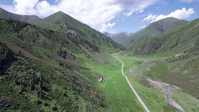 仓家峡 林场 航拍 森林 石山