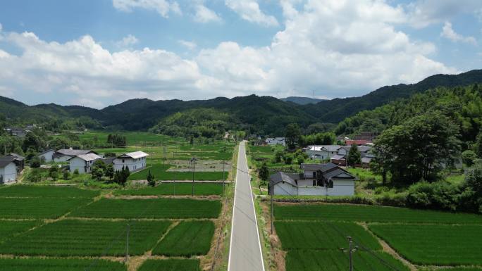 乡村公路  田间小路