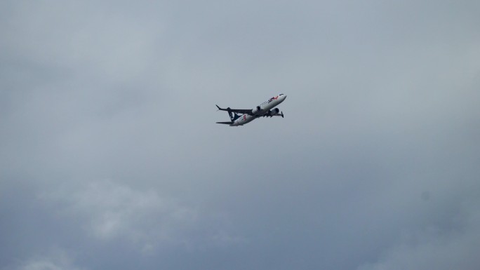 飞机冲入云霄的视频