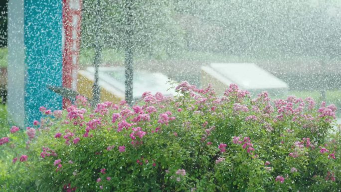 园林养护公园浇花蜜蜂蝴蝶飞舞