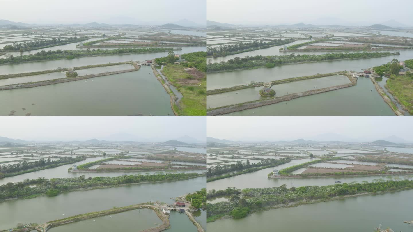 4k航拍-广东海丰湿地保护区