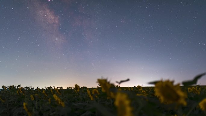 向日葵银河星空延时视频