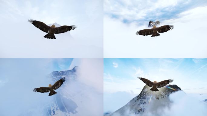 4K鹰击长空雪山雄鹰展翅翱翔