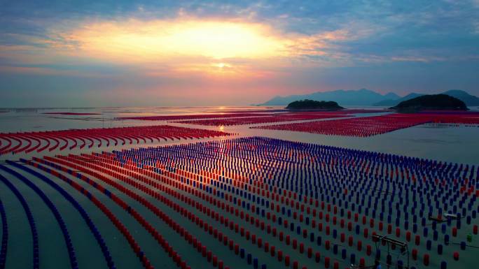 霞浦花竹 海上日出 渔排渔船