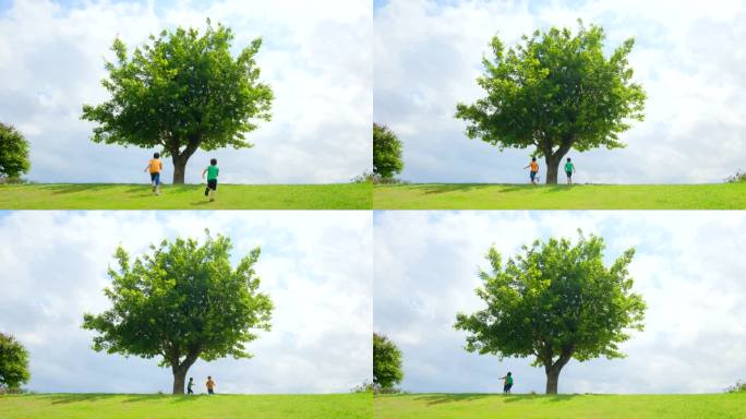 草坪上的一棵树 小孩大树下玩耍 童年